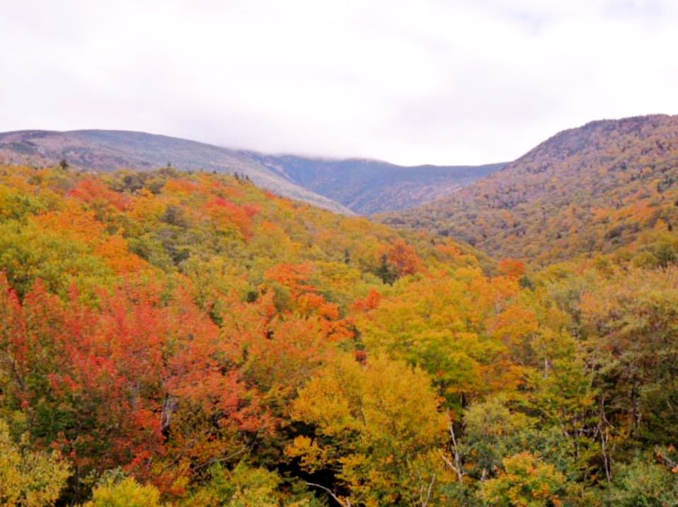 Crawford Notch State Park