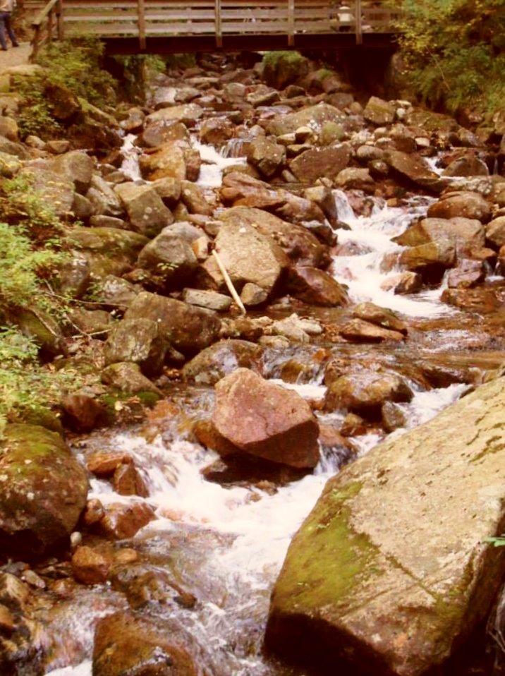 Flume Gorge