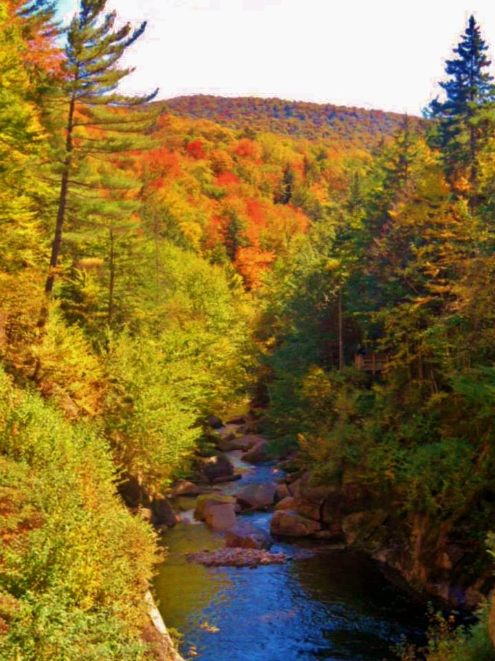 Flume Gorge