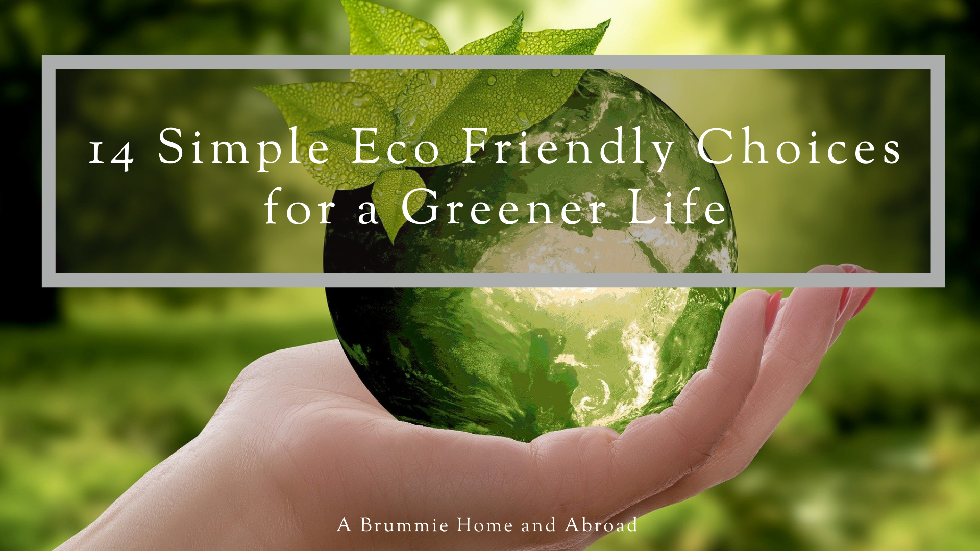 I'm keen to make eco friendly choices but sometimes it's hard to know where to start. Here are 14 small steps I've taken in the past year